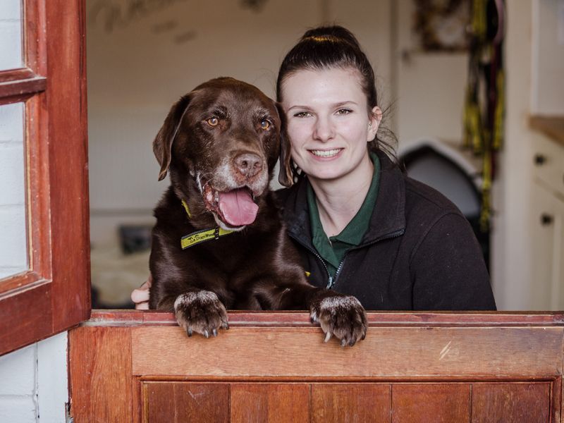 Senior dogs to adopt best sale near me